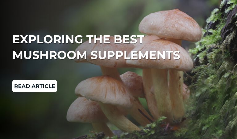 Exploring the Best Mushroom Supplements